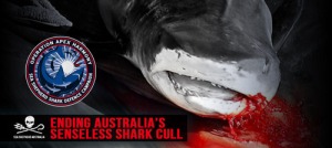 Operation Apex Harmony Sea Shepherd Australia -- Earth Dr Reese Halter